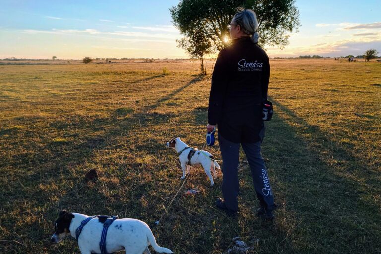 Stenåsa Stugor & Camping - Bild 11