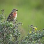 Stenåsa Stugor & Camping - Bild 14