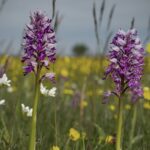 Stenåsa Stugor & Camping - Bild 15