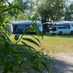 Stenåsa Stugor & Camping - Bild 2