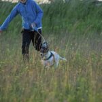 Stenåsa Stugor & Camping - Bild 7