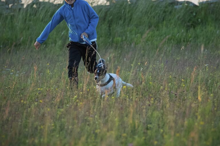 Stenåsa Stugor & Camping - Bild 7