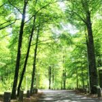 Evedals Camping Växjö - Bild 1 Evedals Camping Växjö - Bild 1