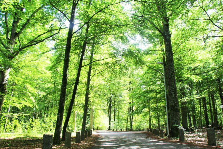 Evedals Camping Växjö - Bild 1 Evedals Camping Växjö - Bild 1