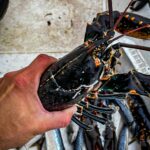 Swecamp Saltviks Camping - Bild 10 Swecamp Saltviks Camping - Bild 10