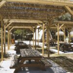 Taiga Conil - Bild 17