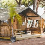 Taiga Conil - Bild 2