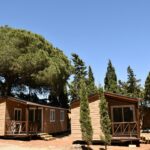 Taiga Conil - Bild 9