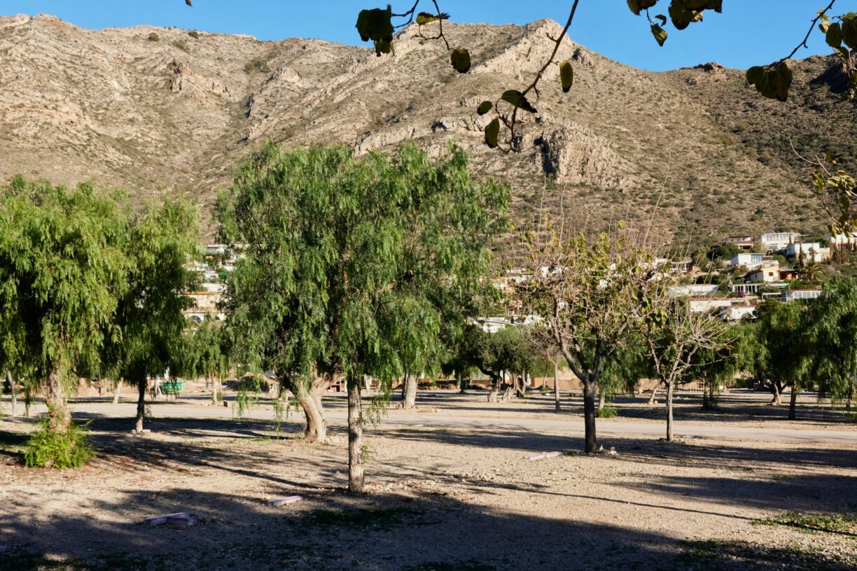 Taiga Costa Calida - Bild 6 Taiga Costa Calida - Bild 6