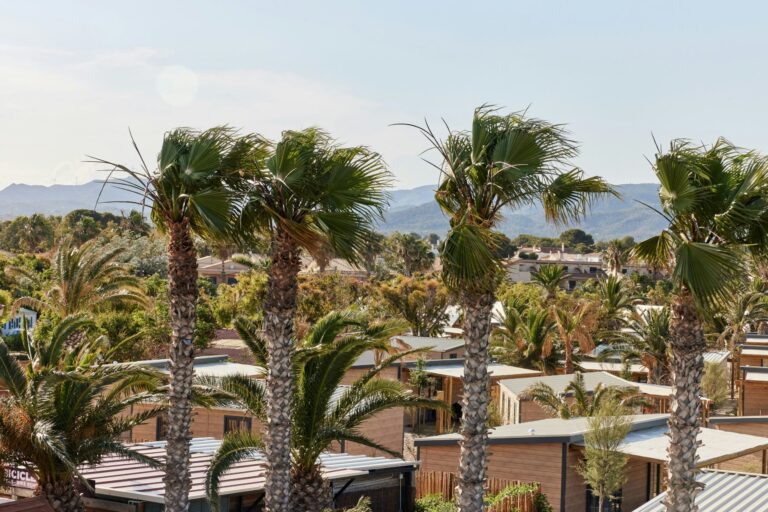 Taiga Delta De L'ebre - Bild 11