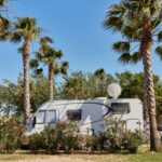 Taiga Delta De L'ebre - Bild 2