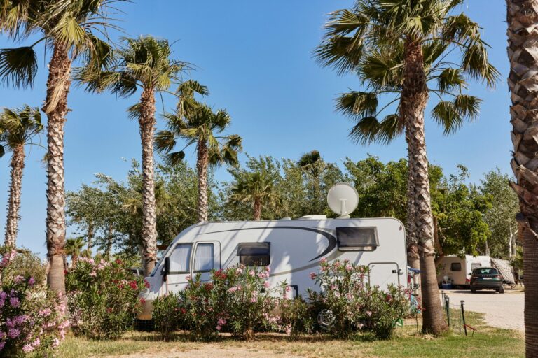 Taiga Delta De L'ebre - Bild 2