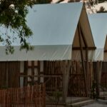 Taiga Delta De L'ebre - Bild 9