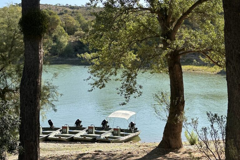 Taiga Lake Caspe - Bild 3