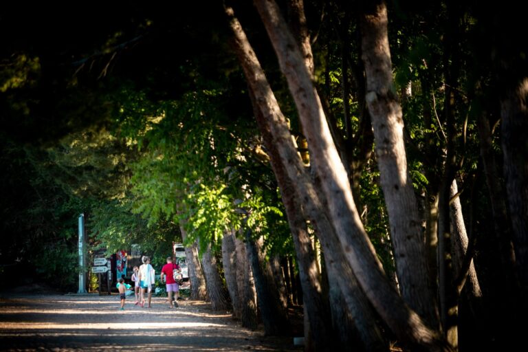 Taiga Lake Caspe - Bild 5