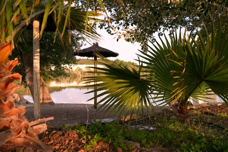 Taiga Lake Caspe - Bild 8