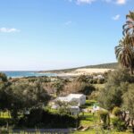 Taiga Tarifa Valdevaqueros - Bild 6