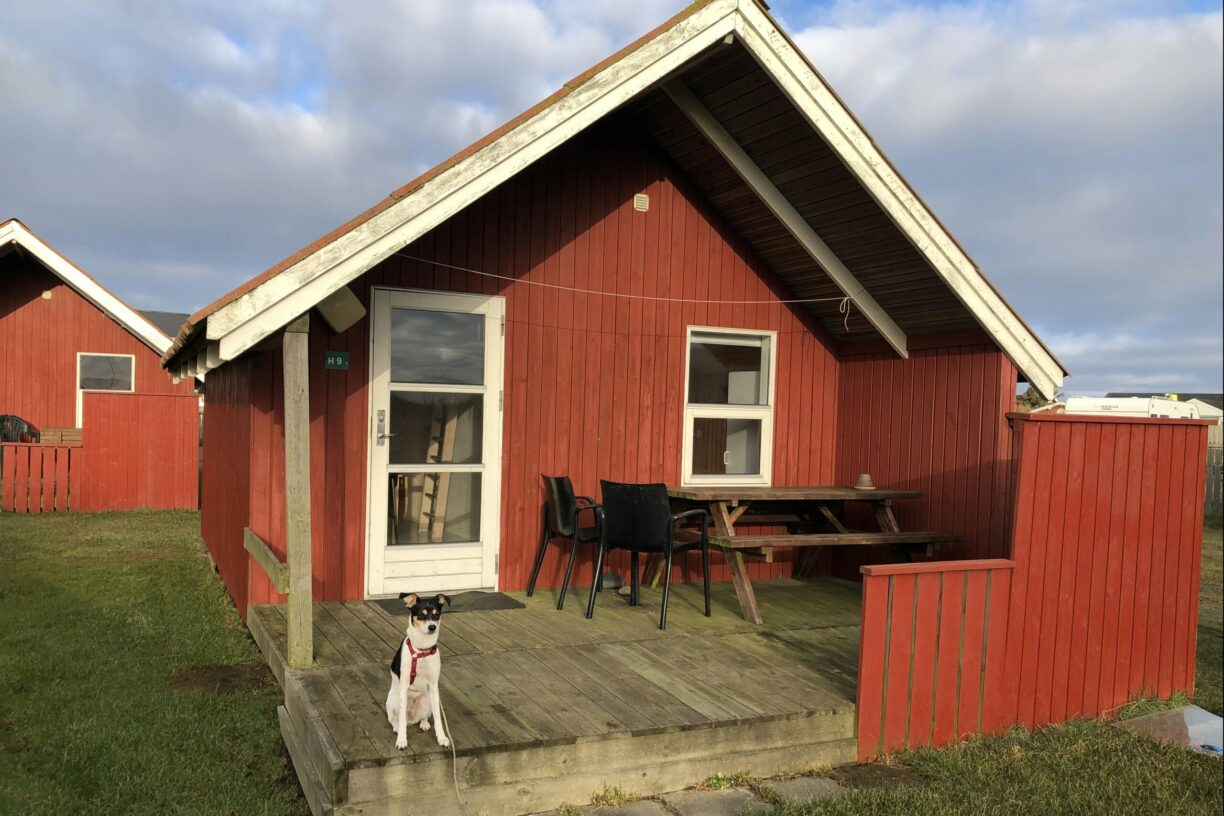 Thorsminde Camping And Motorhomespot - Bild 10 Thorsminde Camping And Motorhomespot - Bild 10