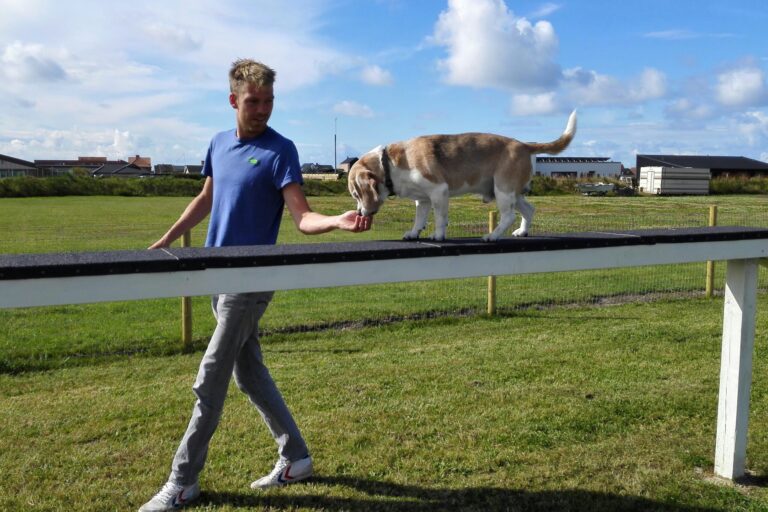 Thorsminde Camping And Motorhomespot - Bild 6 Thorsminde Camping And Motorhomespot - Bild 6