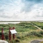 Thyborøn Camping And Cottages - Bild 12 Thyborøn Camping And Cottages - Bild 12