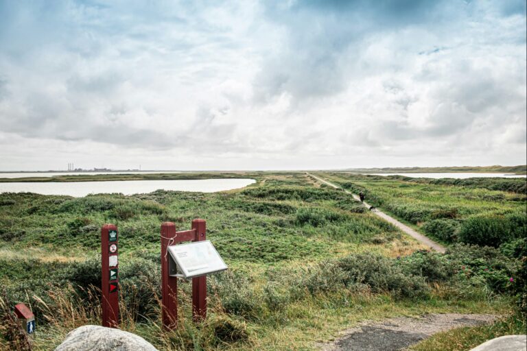 Thyborøn Camping And Cottages - Bild 12 Thyborøn Camping And Cottages - Bild 12