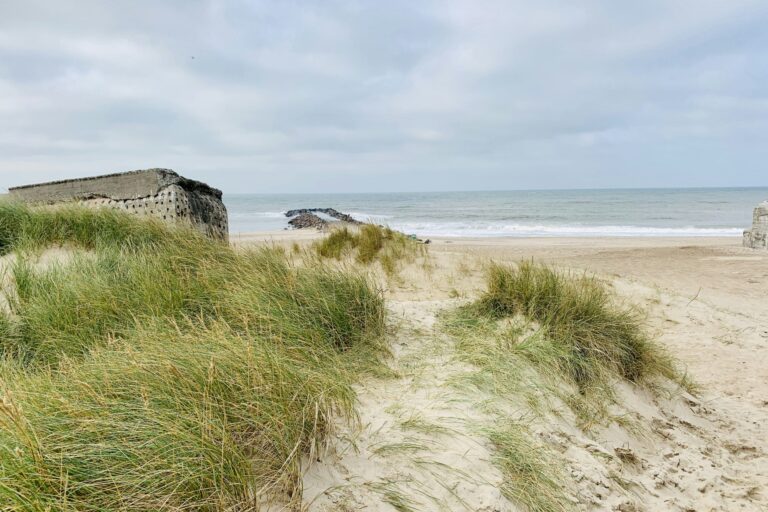 Thyborøn Camping And Cottages - Bild 13 Thyborøn Camping And Cottages - Bild 13