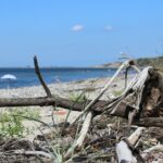 Toftum Bjerge Camping - Bild 2