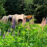 Tolne Camping - Bild 1 Tolne Camping - Bild 1