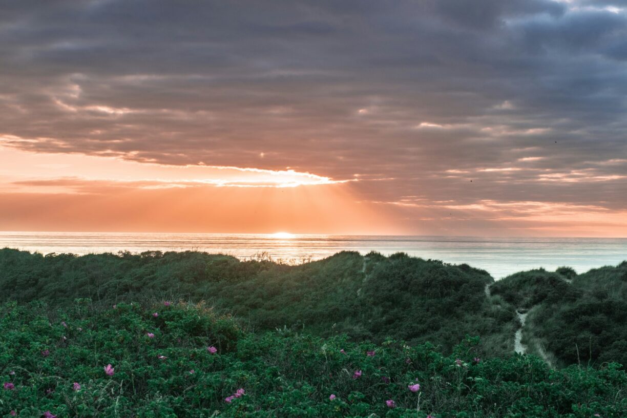 Tolne Camping - Bild 3 Tolne Camping - Bild 3