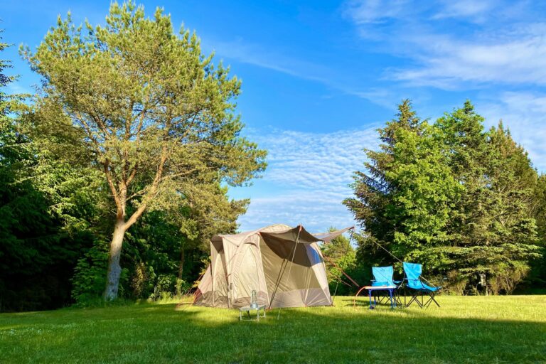 Tolne Camping - Bild 5 Tolne Camping - Bild 5