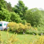 Tolne Camping - Bild 6 Tolne Camping - Bild 6