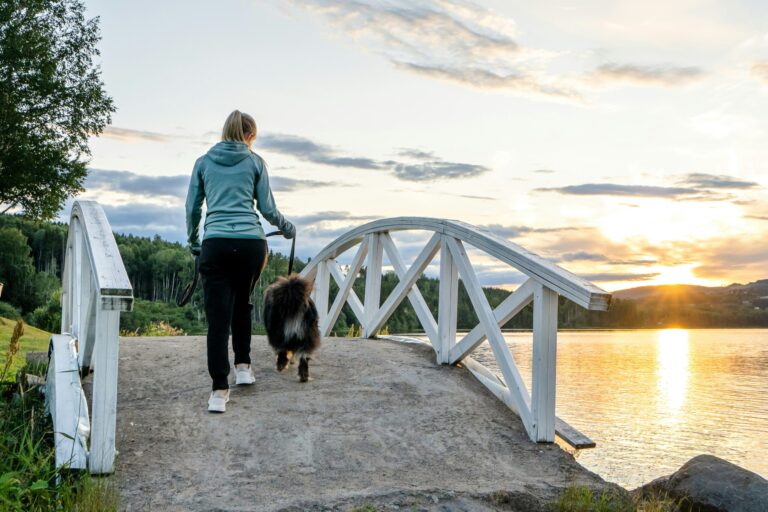 Topcamp Mjøsa - Brumunddal - Bild 7