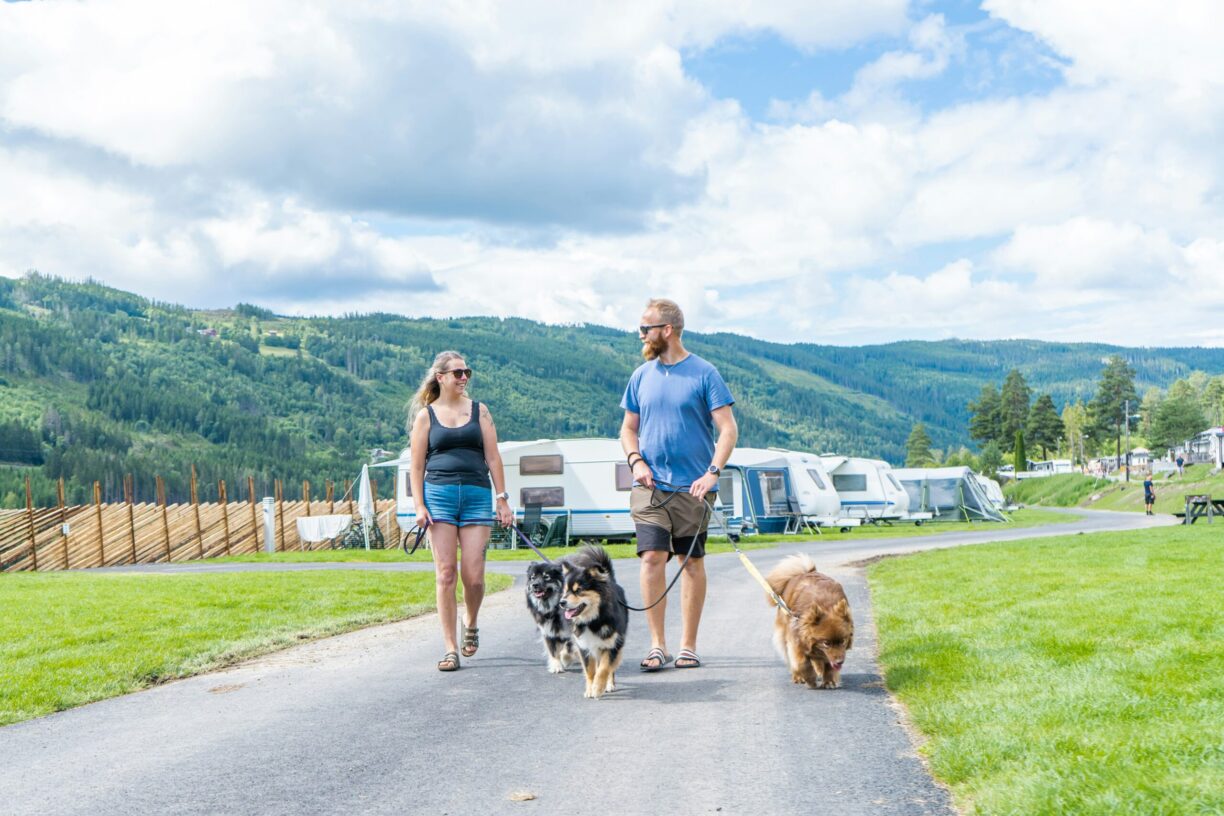 Topcamp Rustberg - Bild 6 Topcamp Rustberg - Bild 6