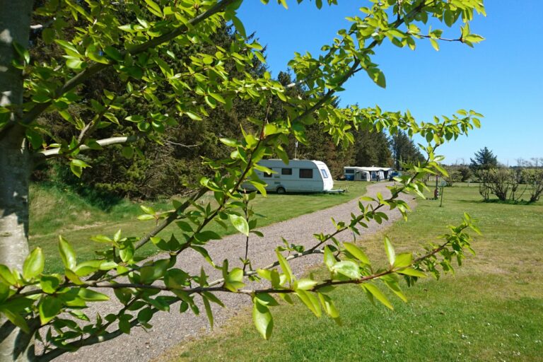 Tornby Strand Camping - Hirtshals - Bild 5