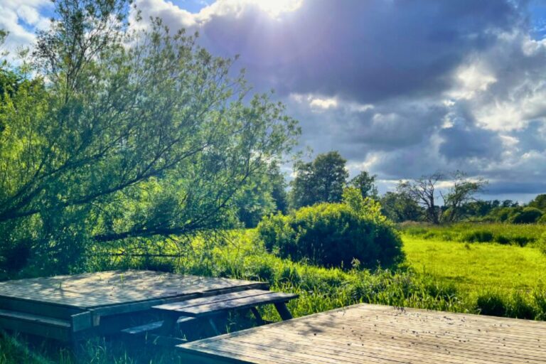 Tørring Camping - Bild 9