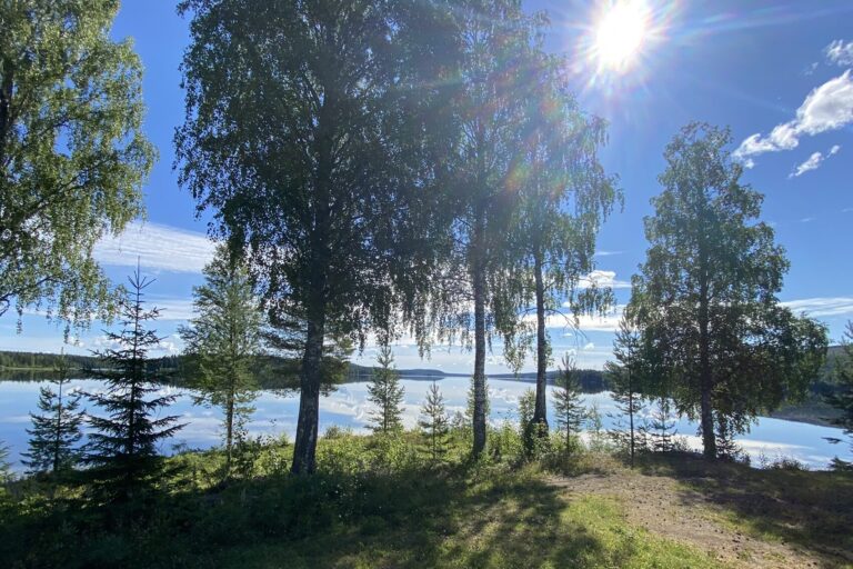 Trehörningsjö Camping Och Stugor - Bild 6