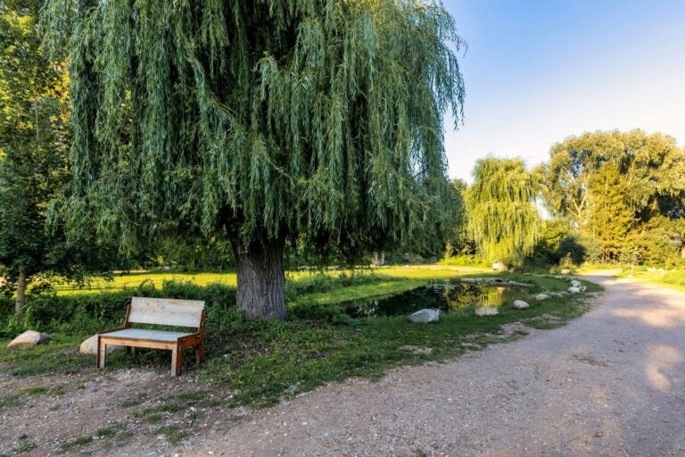 Uhlenköper-camp - Bild 5