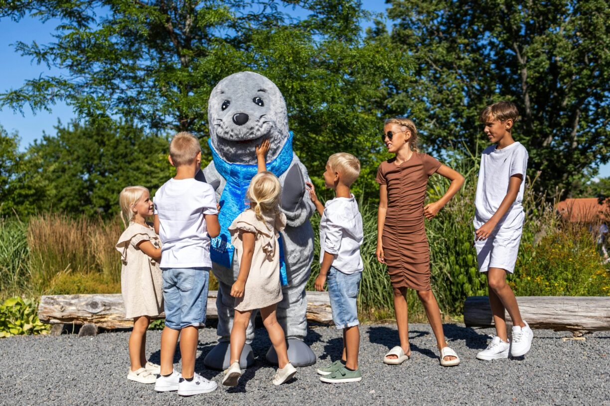 Västervik Resort - Bild 10 Västervik Resort - Bild 10