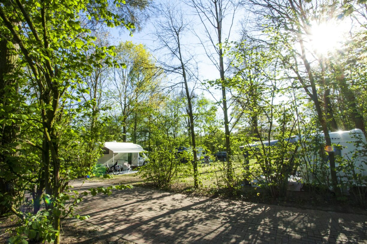 Vakantiepark Breebronne - Bild 4 Vakantiepark Breebronne - Bild 4