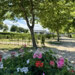 Vakantiepark De Molenhoek - Bild 15