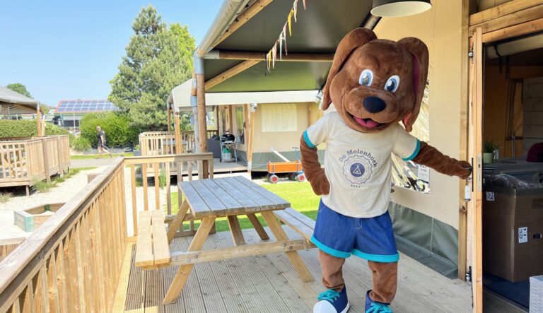 Vakantiepark De Molenhoek - Bild 8