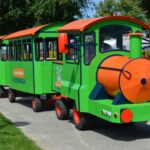 Vakantiepark De Oude Molen - Bild 15