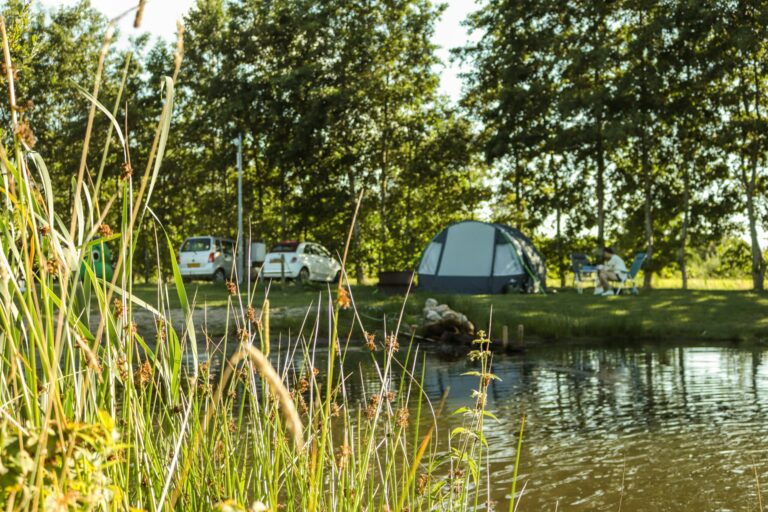 Vakantiepark De Toffe Peer - Bild 10 Vakantiepark De Toffe Peer - Bild 10