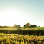 Vakantiepark De Toffe Peer - Bild 14 Vakantiepark De Toffe Peer - Bild 14