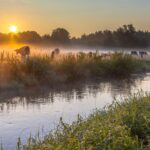 Vakantiepark De Toffe Peer - Bild 5 Vakantiepark De Toffe Peer - Bild 5