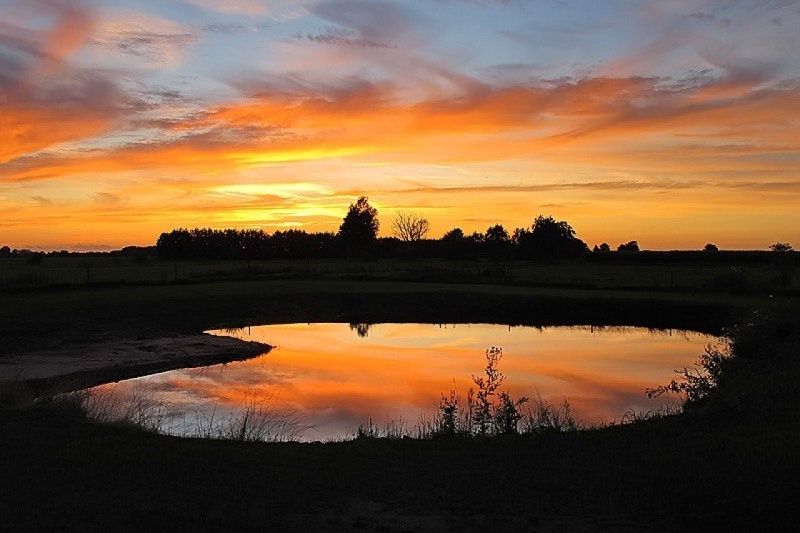 Vakantiepark De Toffe Peer - Bild 6 Vakantiepark De Toffe Peer - Bild 6