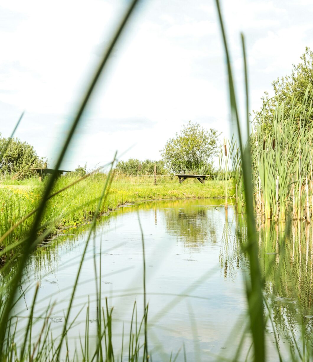 Vakantiepark De Toffe Peer - Bild 7 Vakantiepark De Toffe Peer - Bild 7