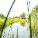 Vakantiepark De Toffe Peer - Bild 7 Vakantiepark De Toffe Peer - Bild 7