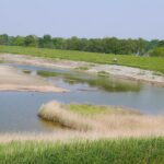 Vakantiepark De Zeeuwse Parel - Bild 10 Vakantiepark De Zeeuwse Parel - Bild 10