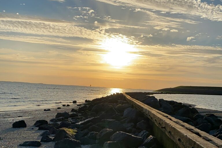 Vakantiepark De Zeeuwse Parel - Bild 12 Vakantiepark De Zeeuwse Parel - Bild 12